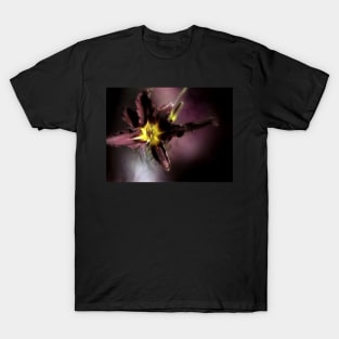 red magic day lily 3 T-Shirt